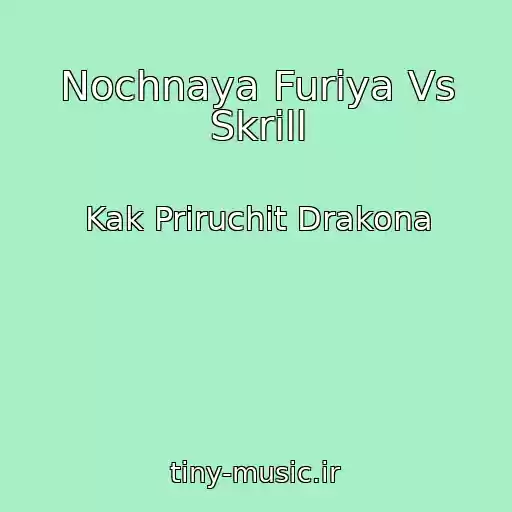 کاور آهنگ Nochnaya Furiya Vs Skrill از Kak Priruchit Drakona