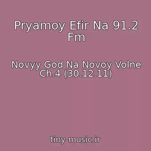 کاور آهنگ Pryamoy Efir Na 91.2 Fm از Novyy God Na Novoy Volne Ch.4 (30.12.11)