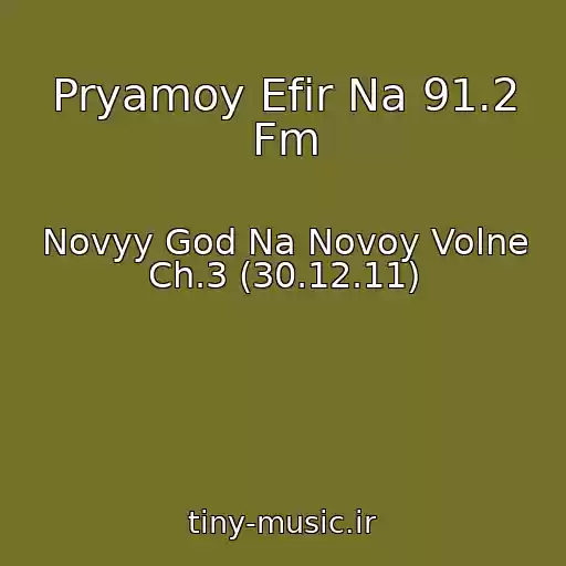 کاور آهنگ Pryamoy Efir Na 91.2 Fm از Novyy God Na Novoy Volne Ch.3 (30.12.11)
