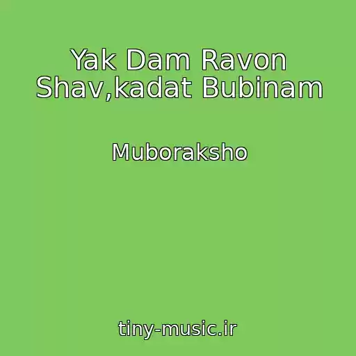 کاور آهنگ Yak Dam Ravon Shav,kadat Bubinam از Muboraksho
