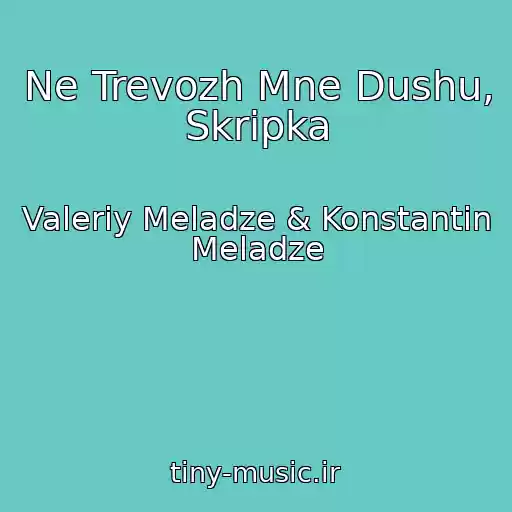 کاور آهنگ Ne Trevozh Mne Dushu, Skripka از Valeriy Meladze & Konstantin Meladze