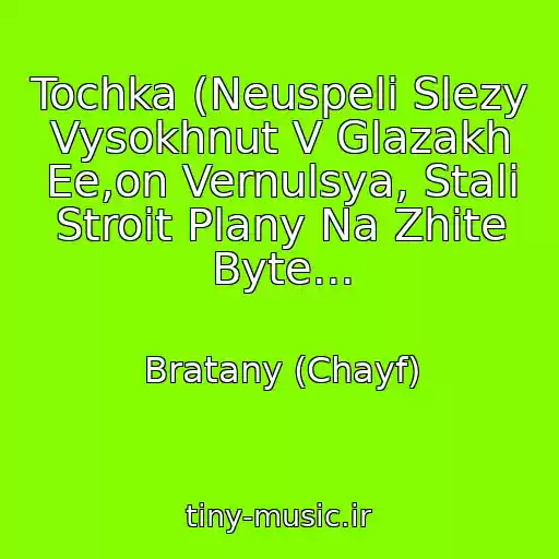 کاور آهنگ Tochka (Neuspeli Slezy Vysokhnut V Glazakh Ee,on Vernulsya, Stali Stroit Plany Na Zhite Byte... از Bratany (Chayf)