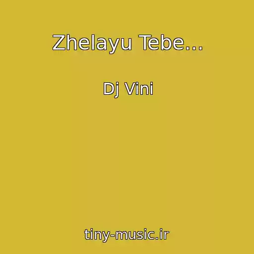 کاور آهنگ Zhelayu Tebe... از Dj Vini