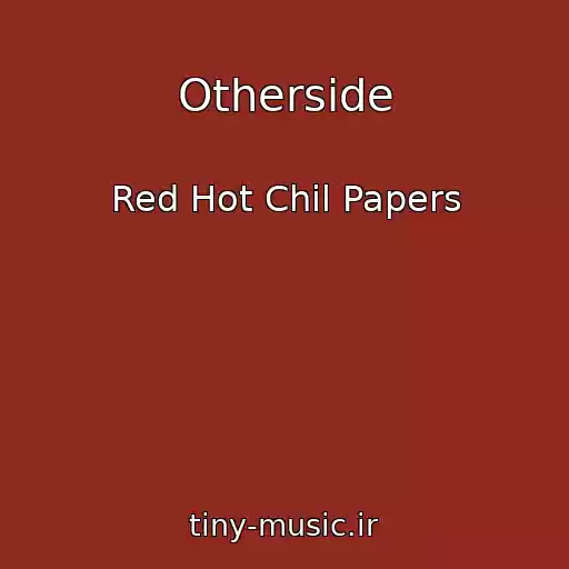 کاور آهنگ Otherside از Red Hot Chil Papers