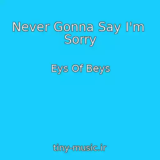 کاور آهنگ Never Gonna Say I'm  Sorry از Eys Of Beys