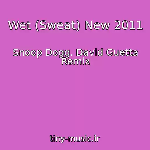 کاور آهنگ Wet (Sweat) New 2011 از Snoop Dogg. David Guetta Remix