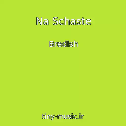 کاور آهنگ Na Schaste از Bredish