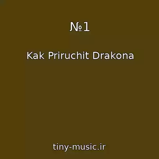 کاور آهنگ №1 از Kak Priruchit Drakona