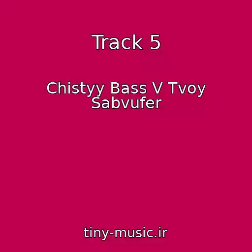 کاور آهنگ Track 5 از Chistyy Bass V Tvoy Sabvufer