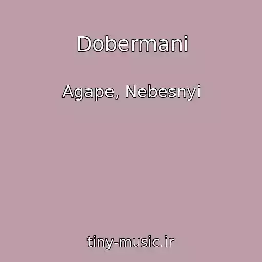کاور آهنگ Dobermani از Agape, Nebesnyi