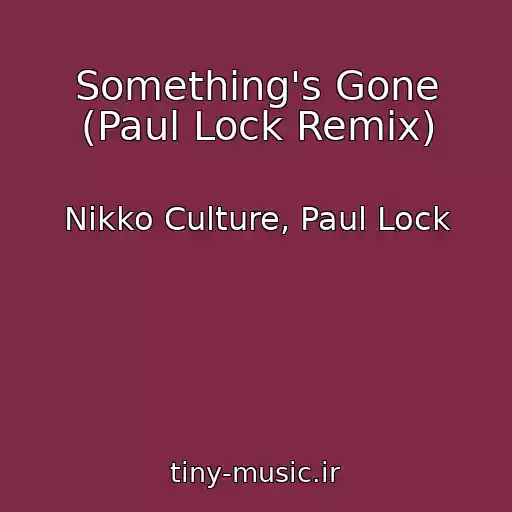 کاور آهنگ Something's Gone (Paul Lock Remix) از Nikko Culture, Paul Lock