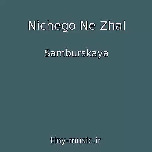 کاور آهنگ Nichego Ne Zhal از Samburskaya