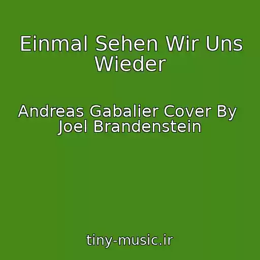کاور آهنگ Einmal Sehen Wir Uns Wieder از Andreas Gabalier Cover By  Joel Brandenstein