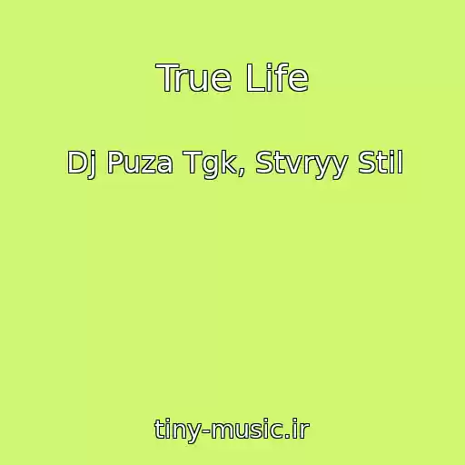 کاور آهنگ True Life از Dj Puza Tgk, Stvryy Stil