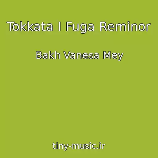 کاور آهنگ Tokkata I Fuga Reminor از Bakh Vanesa Mey