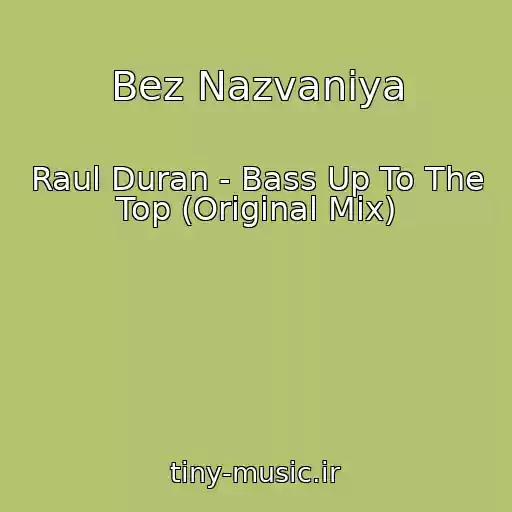کاور آهنگ Bez Nazvaniya از Raul Duran - Bass Up To The Top (Original Mix)
