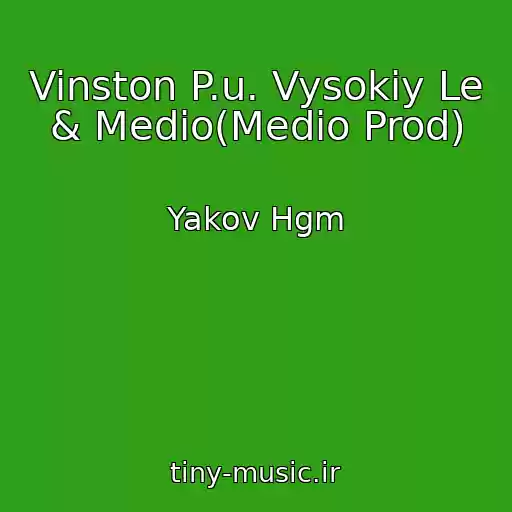 کاور آهنگ Vinston P.u. Vysokiy Le & Medio(Medio Prod) از Yakov Hgm