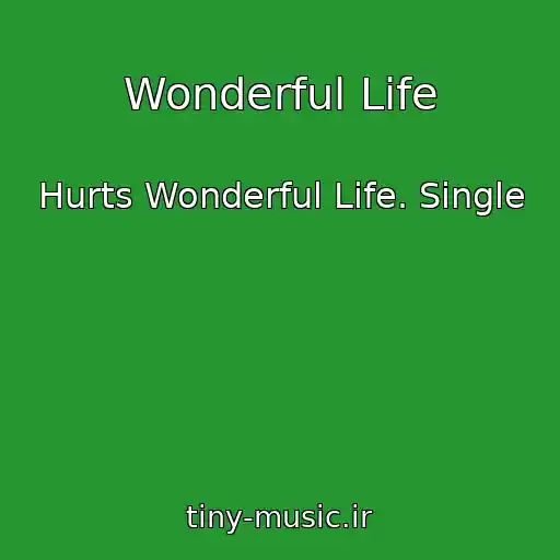 کاور آهنگ Wonderful Life از Hurts Wonderful Life. Single