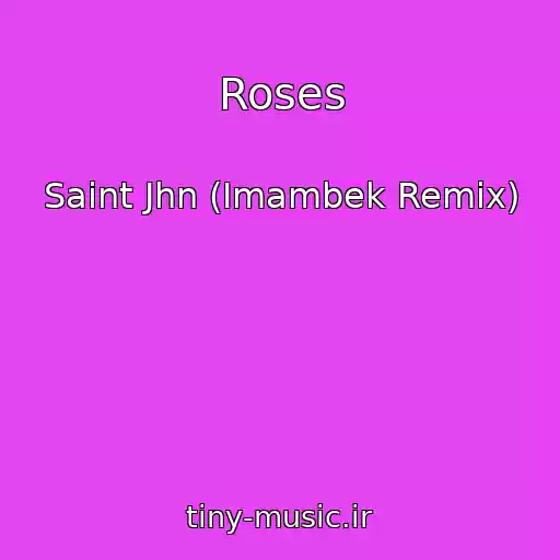 کاور آهنگ Roses از Saint Jhn (Imambek Remix)