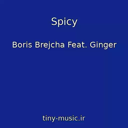 کاور آهنگ Spicy از Boris Brejcha Feat. Ginger