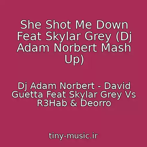 کاور آهنگ She Shot Me Down Feat Skylar Grey (Dj Adam Norbert Mash Up) از Dj Adam Norbert - David Guetta Feat Skylar Grey Vs R3Hab & Deorro