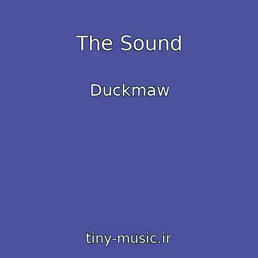 کاور آهنگ The Sound از Duckmaw