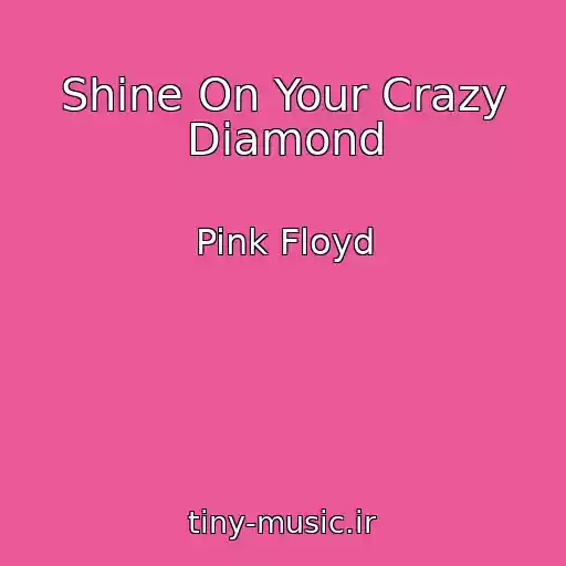 کاور آهنگ Shine On Your Crazy Diamond از Pink Floyd