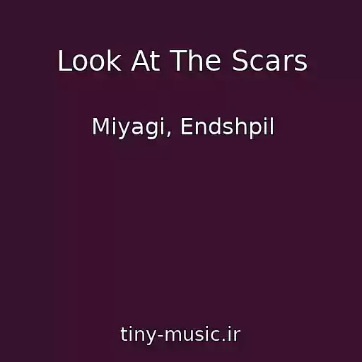کاور آهنگ Look At The Scars از Miyagi, Endshpil