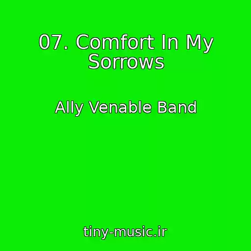 کاور آهنگ 07. Comfort In My Sorrows از Ally Venable Band
