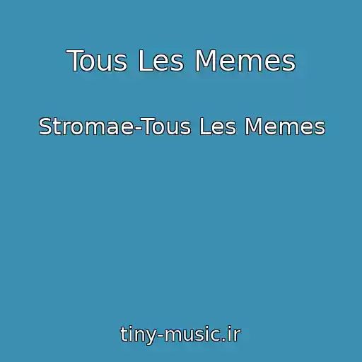 کاور آهنگ Tous Les Memes از Stromae-Tous Les Memes