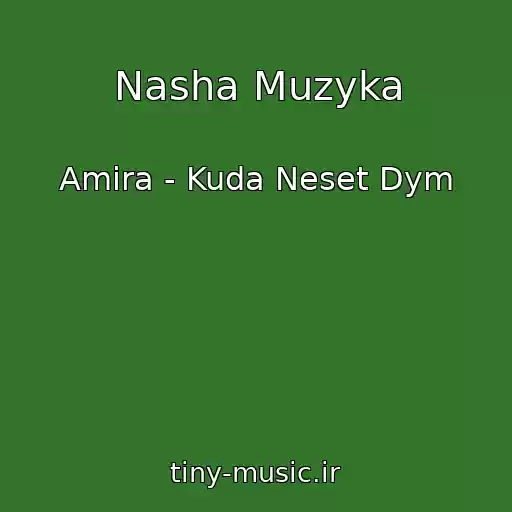 کاور آهنگ Nasha Muzyka از Amira - Kuda Neset Dym