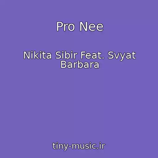 کاور آهنگ Pro Nee از Nikita Sibir Feat. Svyat Barbara