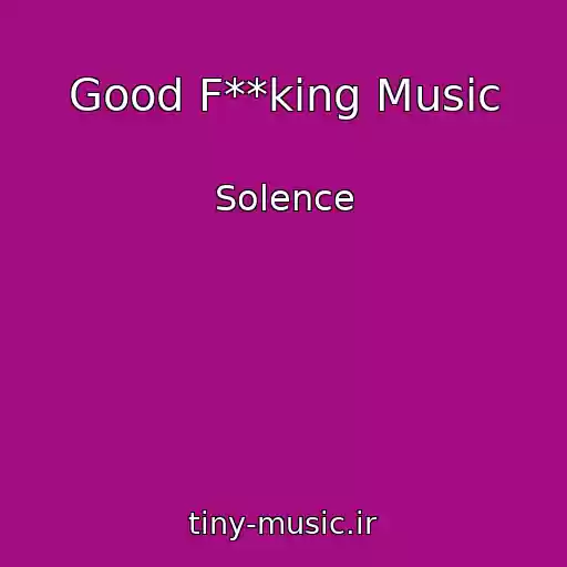 کاور آهنگ Good F**king Music از Solence