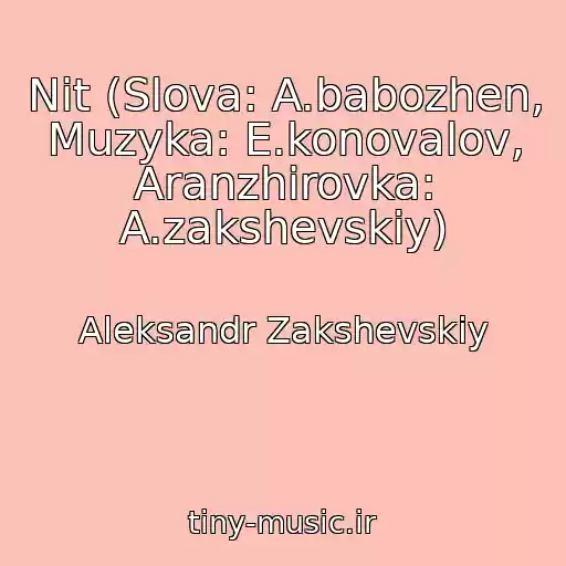 کاور آهنگ Nit (Slova: A.babozhen, Muzyka: E.konovalov, Aranzhirovka: A.zakshevskiy) از Aleksandr Zakshevskiy