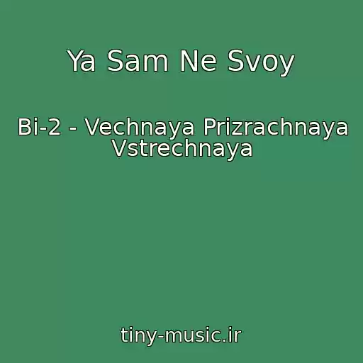 کاور آهنگ Ya Sam Ne Svoy از Bi-2 - Vechnaya Prizrachnaya Vstrechnaya
