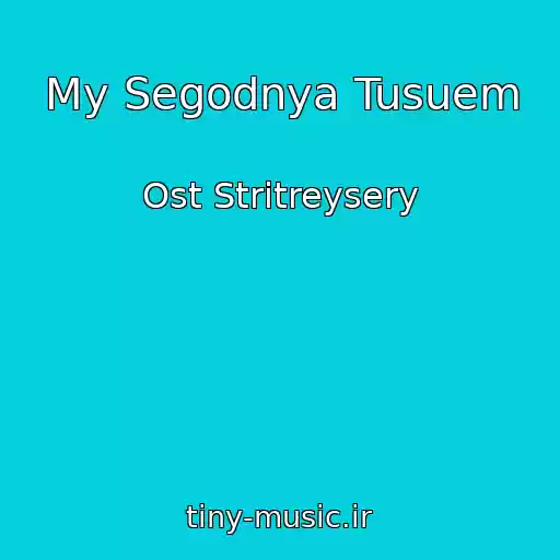 کاور آهنگ My Segodnya Tusuem از Ost Stritreysery