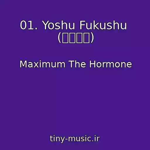 کاور آهنگ 01. Yoshu Fukushu  (予襲復讐) از Maximum The Hormone