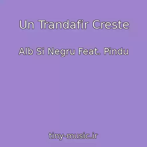 کاور آهنگ Un Trandafir Creste از Alb Si Negru Feat. Pindu