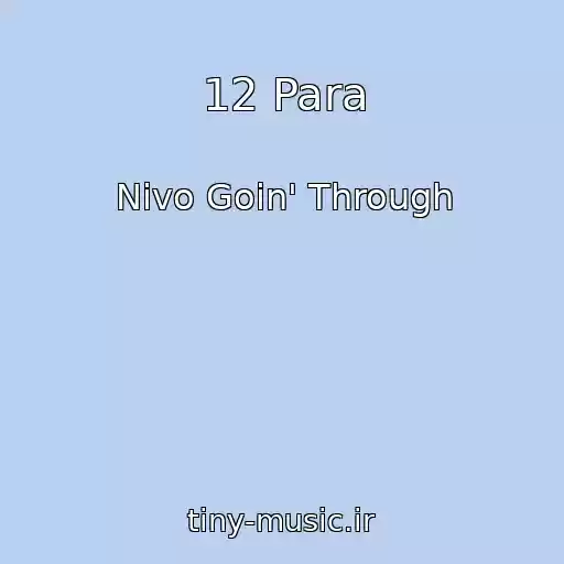کاور آهنگ 12 Para از Nivo Goin' Through
