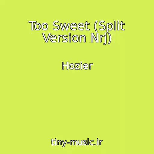 کاور آهنگ Too Sweet (Split Version Nrj) از Hozier