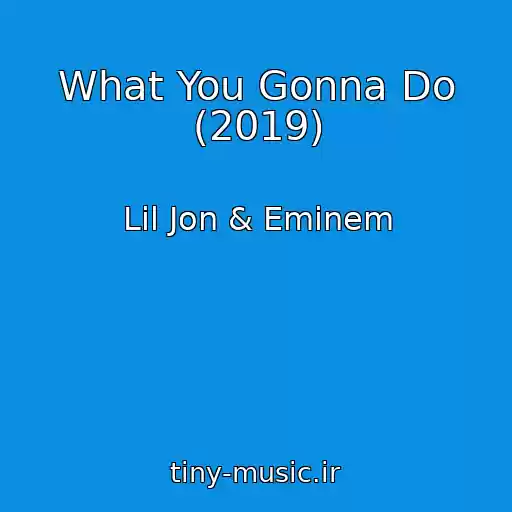 کاور آهنگ What You Gonna Do (2019) از Lil Jon & Eminem