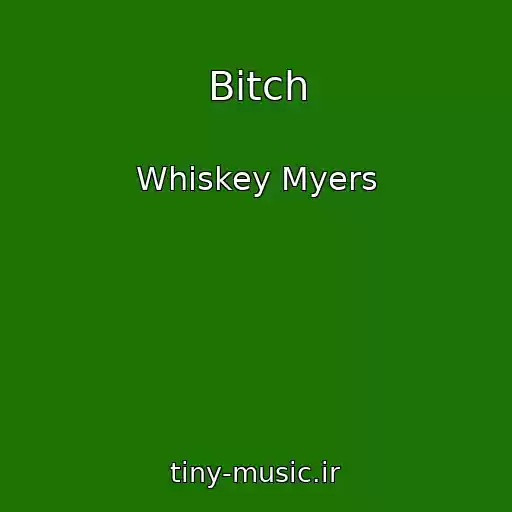 کاور آهنگ Bitch از Whiskey Myers