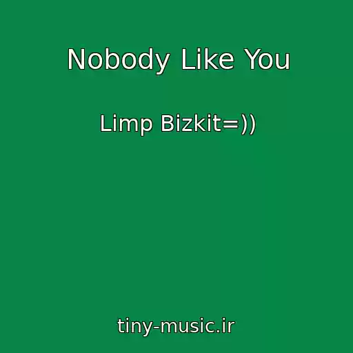 کاور آهنگ Nobody Like You از Limp Bizkit=))