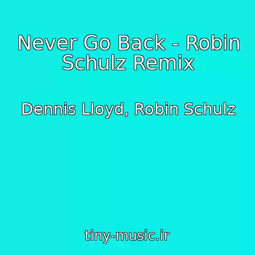 کاور آهنگ Never Go Back - Robin Schulz Remix از Dennis Lloyd, Robin Schulz