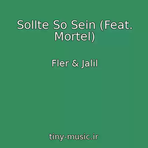 کاور آهنگ Sollte So Sein (Feat. Mortel) از Fler & Jalil