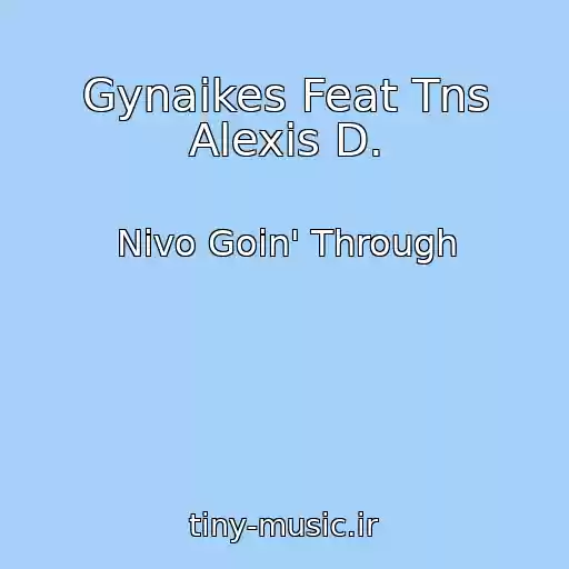 کاور آهنگ Gynaikes Feat Tns Alexis D. از Nivo Goin' Through