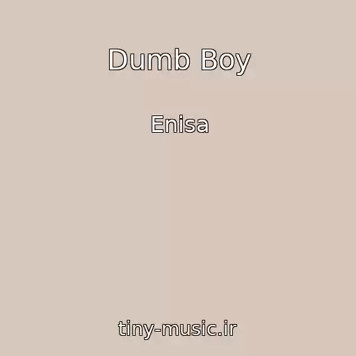 کاور آهنگ Dumb Boy از Enisa