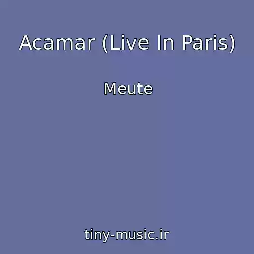کاور آهنگ Acamar (Live In Paris) از Meute