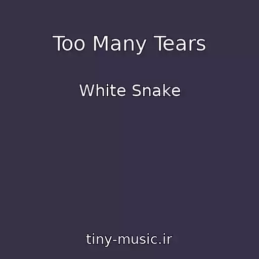 کاور آهنگ Too Many Tears از White Snake