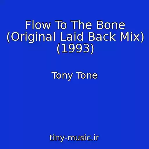 کاور آهنگ Flow To The Bone (Original Laid Back Mix) (1993) از Tony Tone